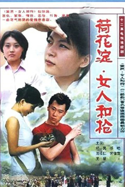 荷花淀、女人和枪 封面