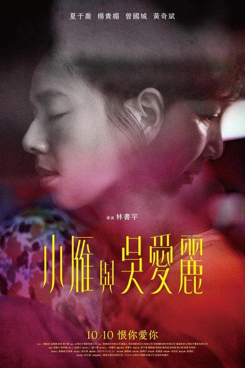 小雁与吴爱丽 封面