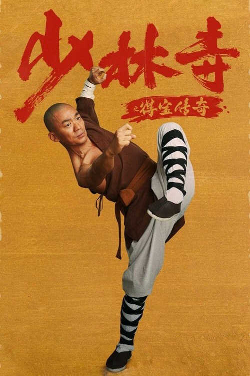 少林寺之得宝传奇 封面