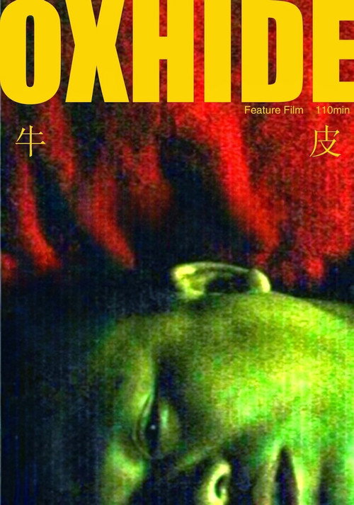 牛皮 封面