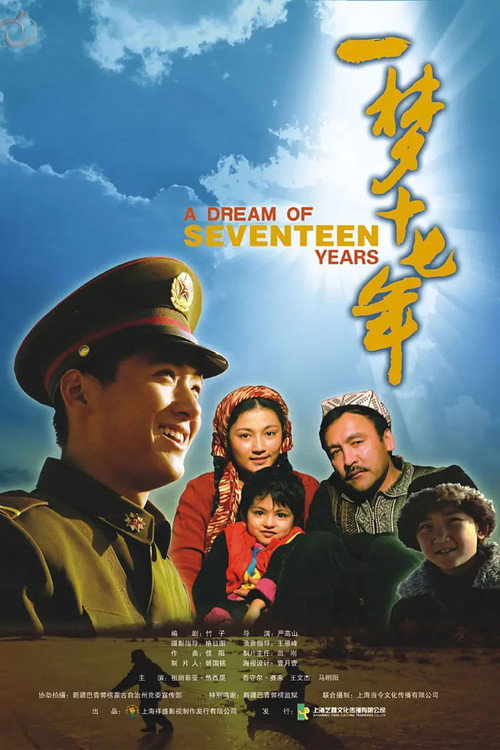 一梦十七年 封面