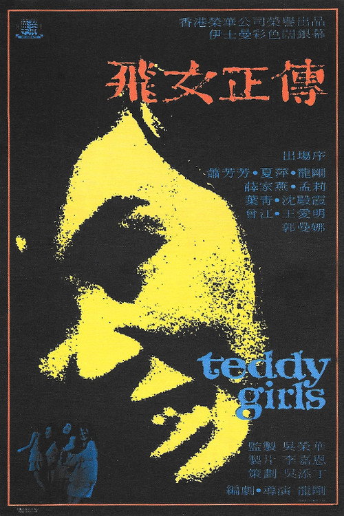 飛女正傳 封面