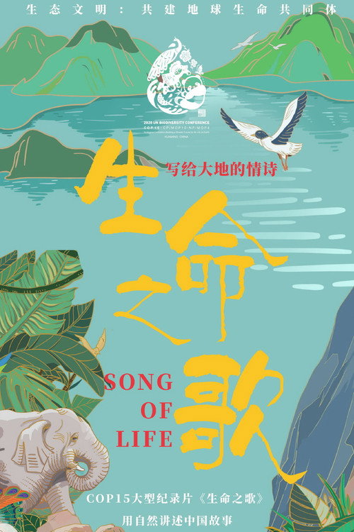 生命之歌 封面