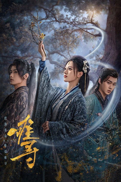 难寻 封面