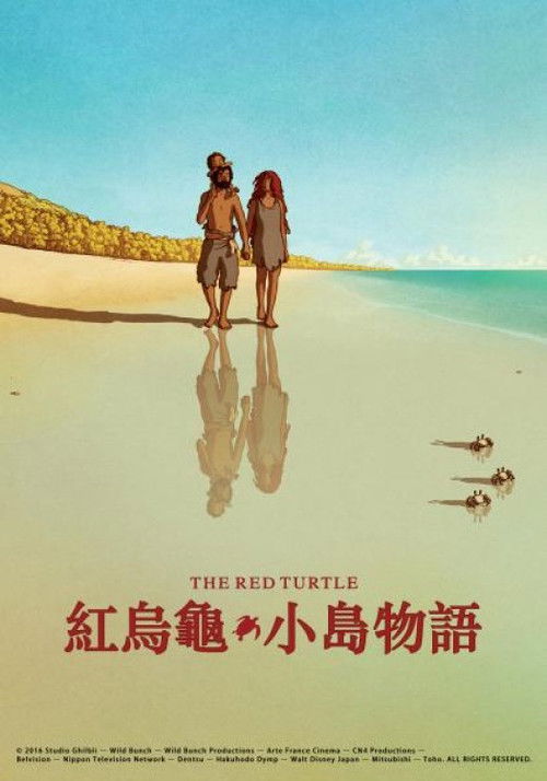 红海龟 封面