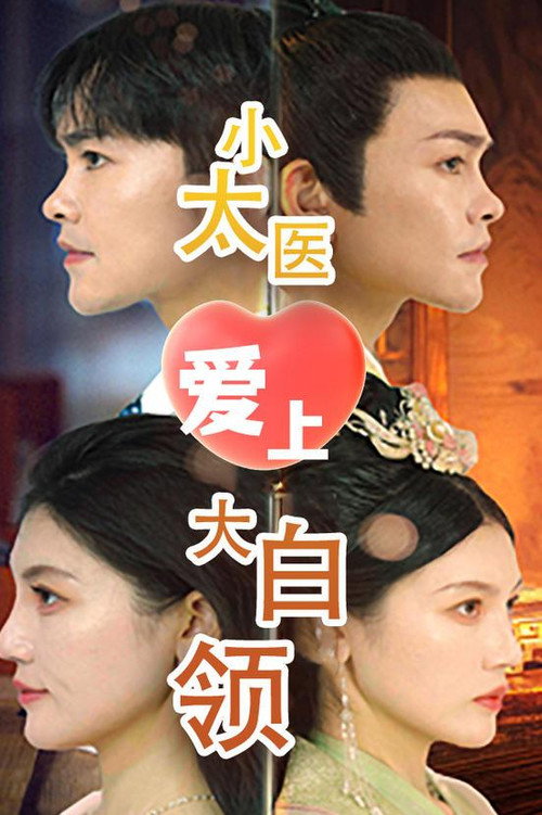小太医爱上大白领 封面
