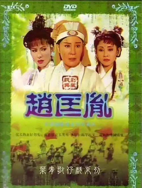 赵匡胤 封面