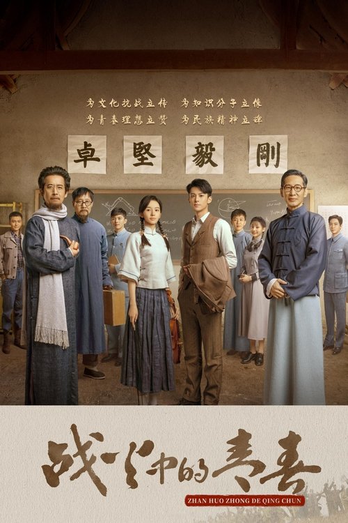战火中的青春 封面