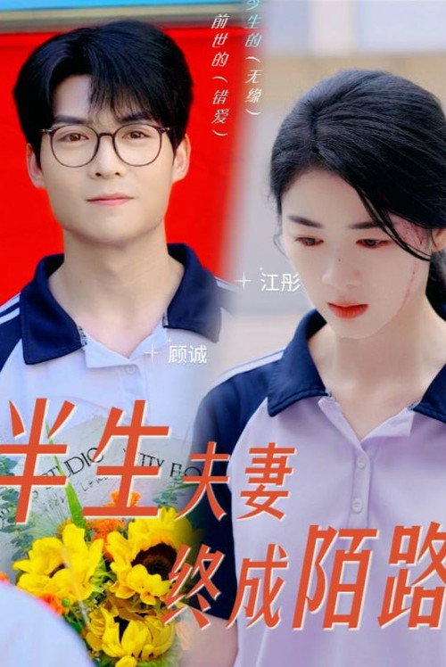 半生夫妻终成陌路 封面