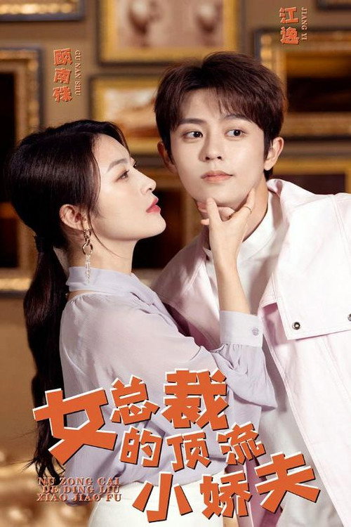 女总裁的顶流小娇夫 封面
