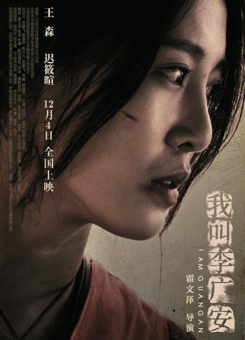 我叫李广安 封面