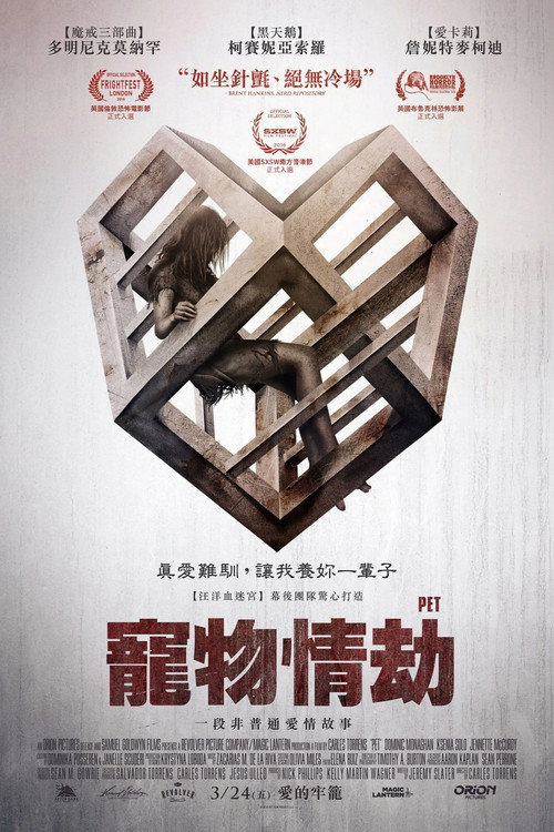 爱宠 封面