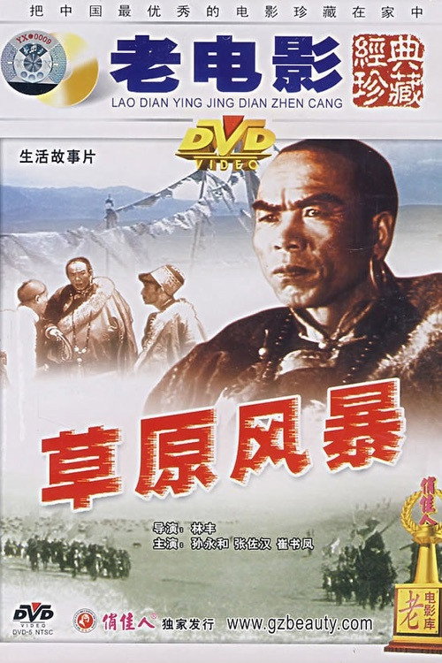 草原风暴 封面