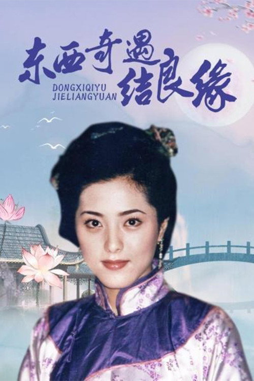 东西奇遇结良缘 封面