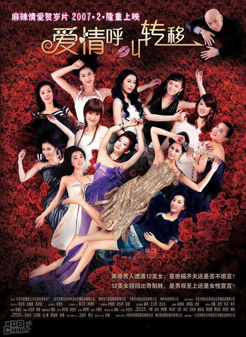 爱情呼叫转移 封面