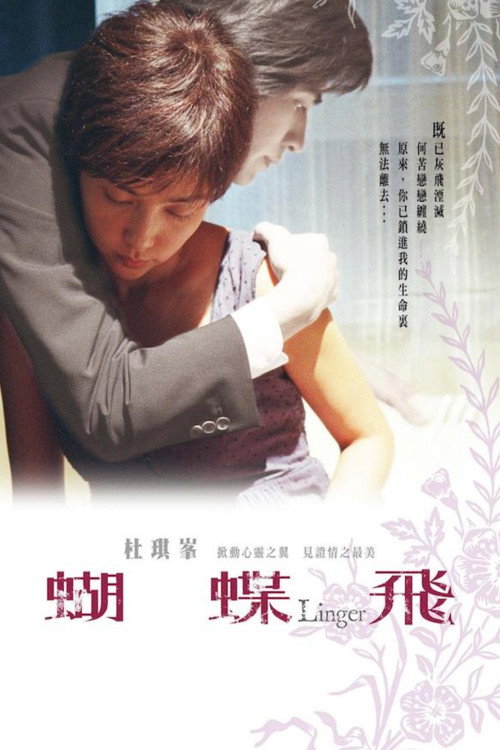 蝴蝶飞 封面