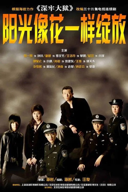 阳光像花一样绽放 封面