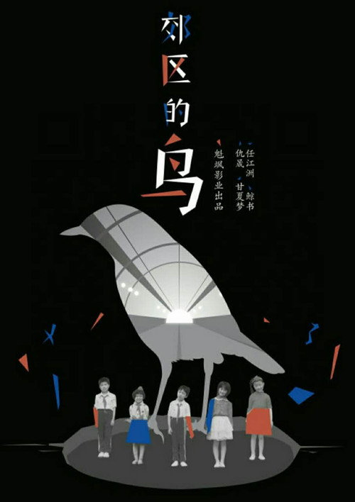 郊区的鸟 封面
