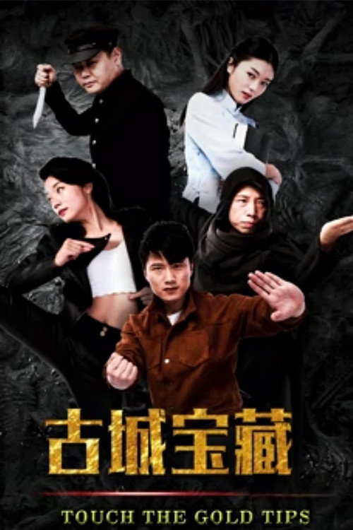 古城宝藏 封面
