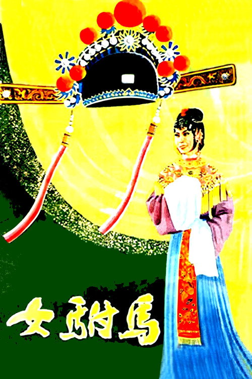 女驸马 封面