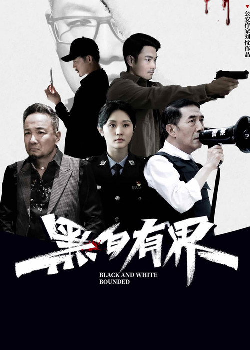 黑白有界 封面