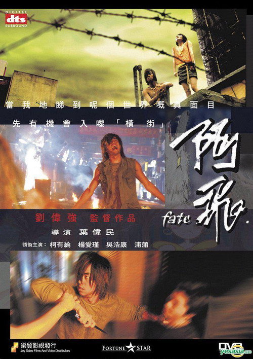 阿飞 封面