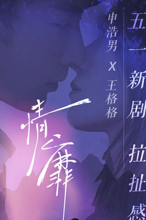 情靡 封面