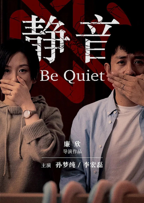 静音 封面