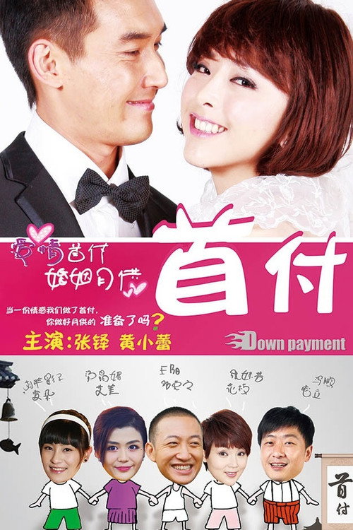 首付 封面
