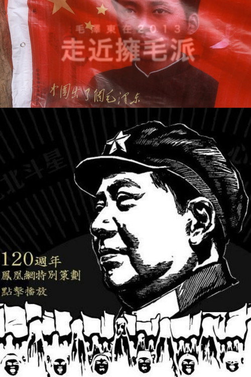走近拥毛派 封面