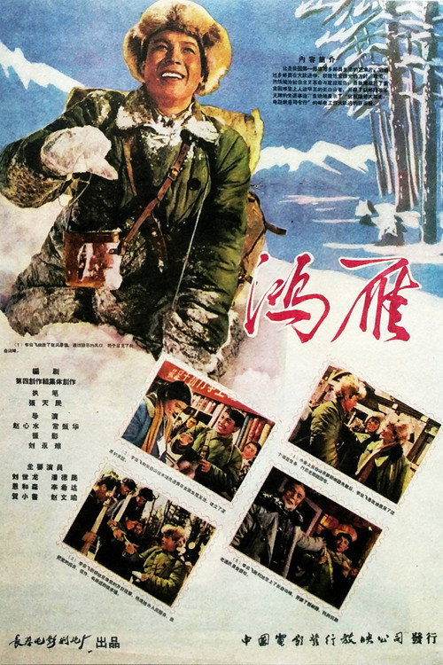鸿雁 封面