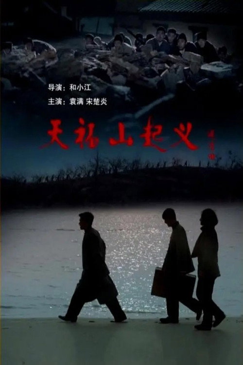 天福山起义 封面