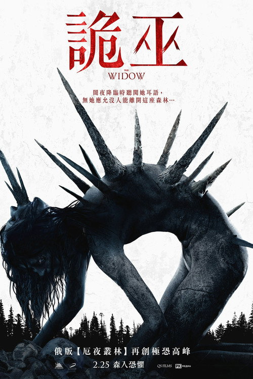 诡巫 封面