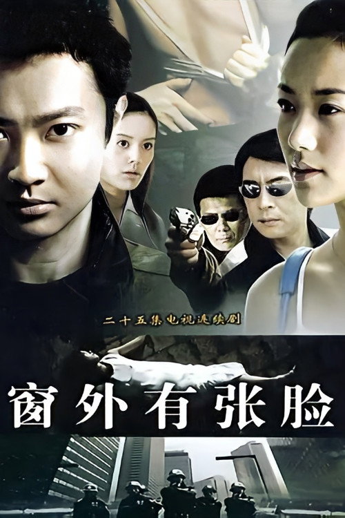 窗外有张脸 封面