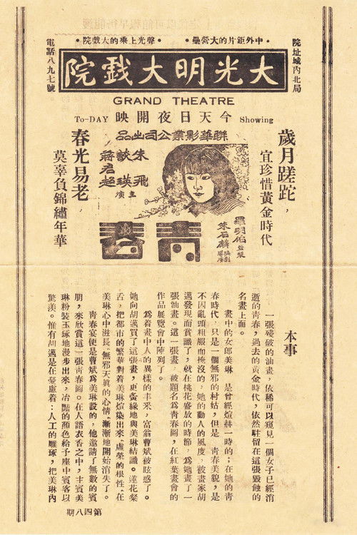 青春 封面