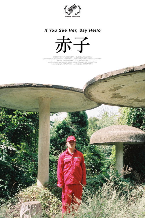 赤子 封面