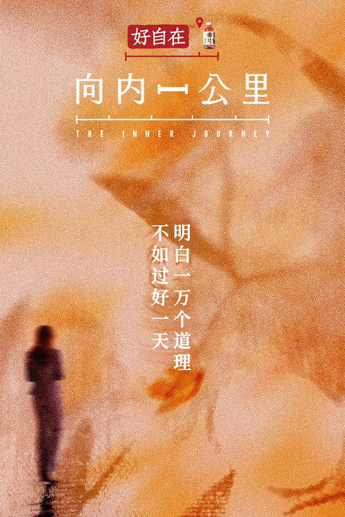 向内一公里 封面