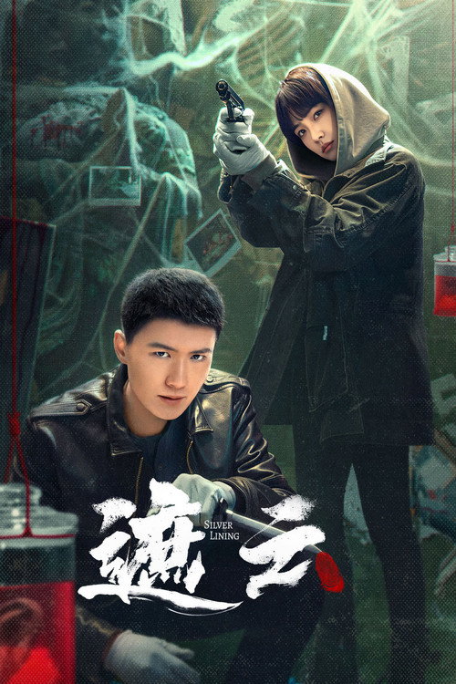 遮云 封面