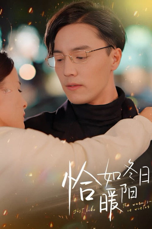 恰如冬日暖阳 封面