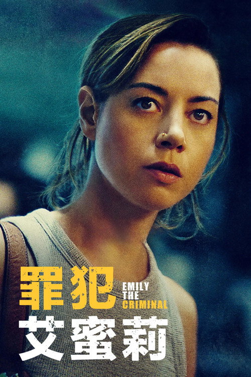 罪犯艾米丽 封面