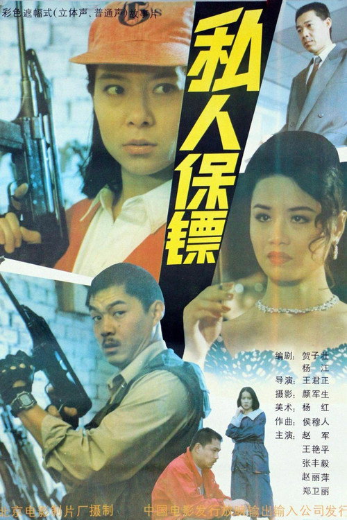 私人保镖 封面
