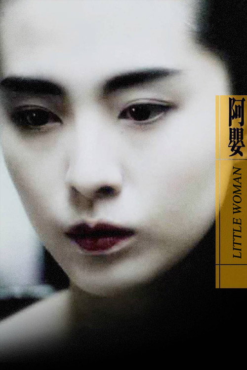 阿婴 封面