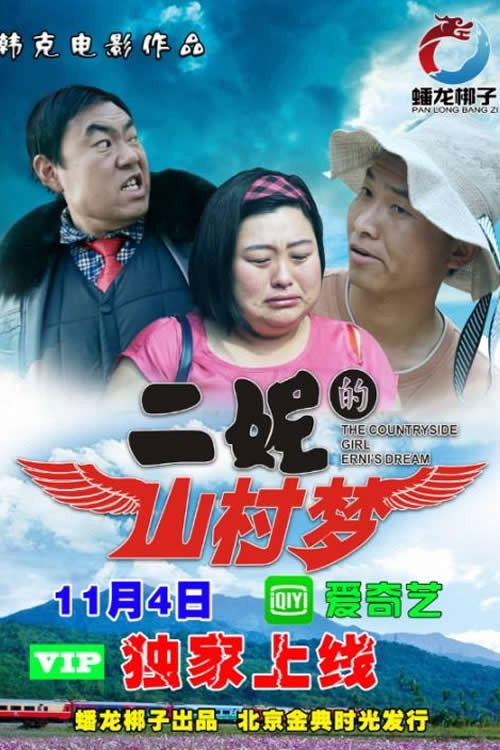 二妮的山村梦 封面
