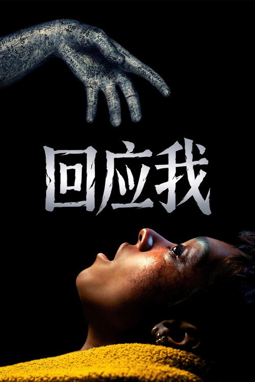 回应我 封面