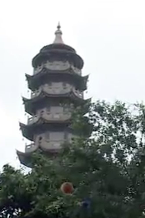 塔园 封面