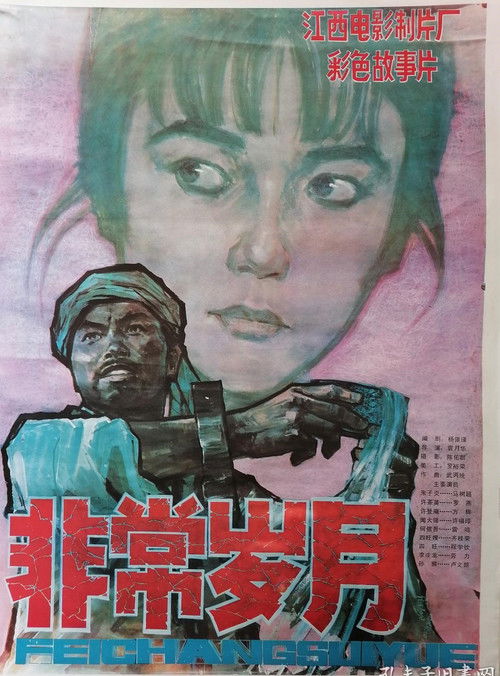 非常岁月 封面