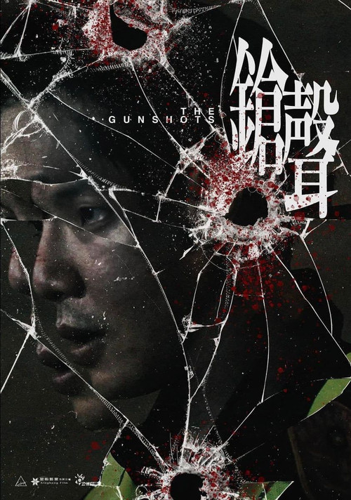 枪声 封面