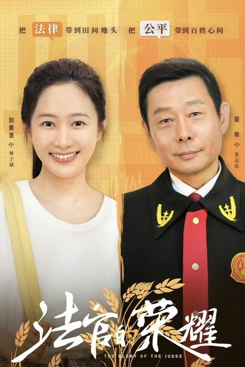 法官的荣耀 封面