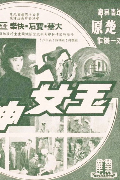 玉女神偷 封面