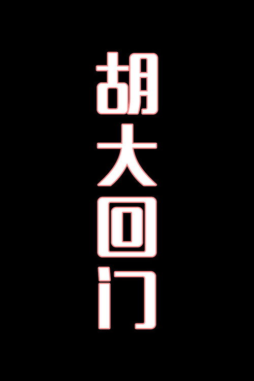 胡大回门-花鼓戏 封面